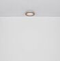 LED ceiling light Globo CLAY 41767R