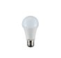 Energy saving (LED) light bulb E27 10W Globo 10625DC